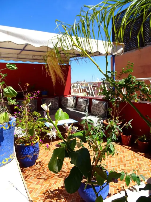 Riad Yara
