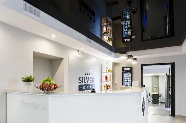 Hotel Silver