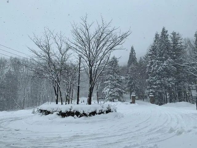 Wadano Forest Hotel And Apartments