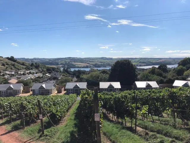 Old Walls Vineyard