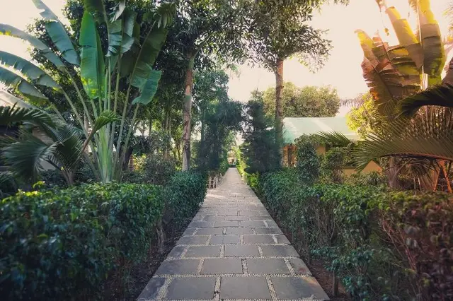 Saavaj Resort
