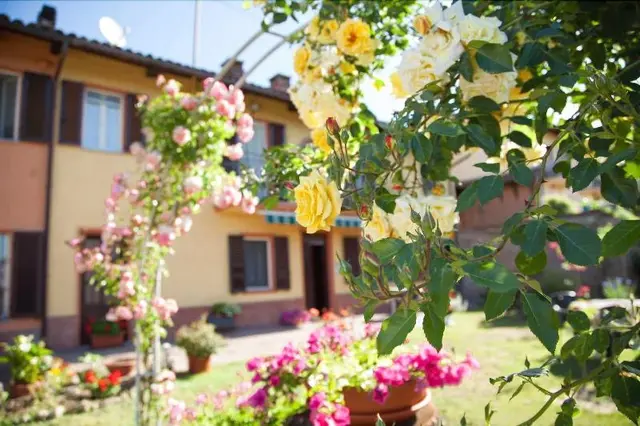 B&B Bricco Dei Ciliegi