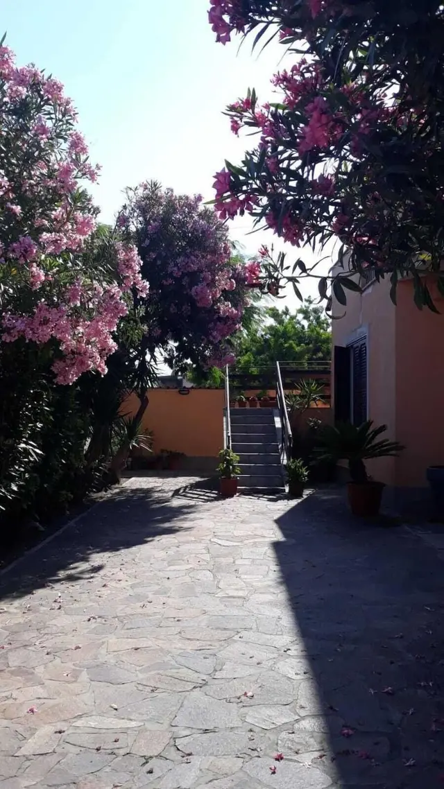 B&B Giorgia Airport