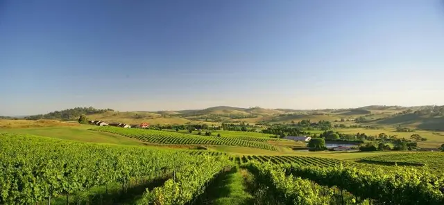 Turners Vineyard Motel And Function Centre