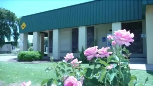 Bordertown Motel