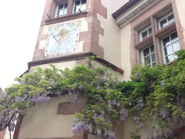 La Cour Des Nobles