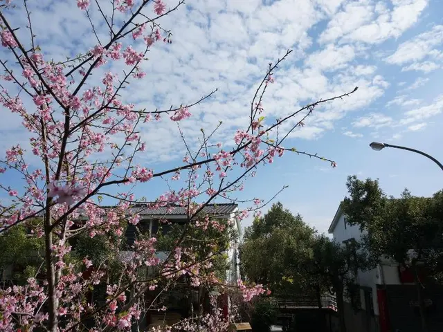 Sanyi Happiness B&B