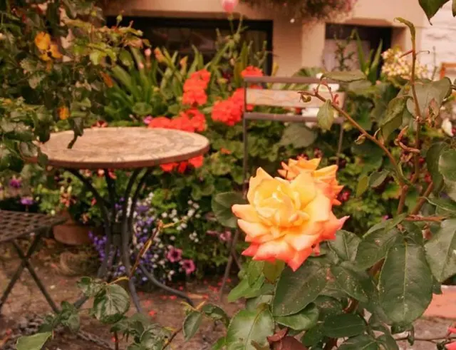 Silverwell Guest House