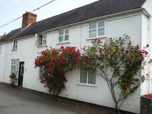 White Cottage