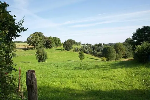 Gasthof Daute