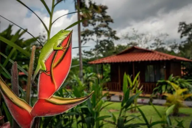 Hotel Rancho Cerro Azul