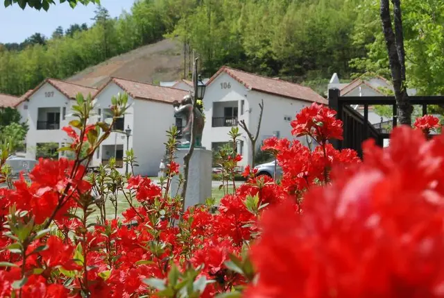 Damyang Meta Pension