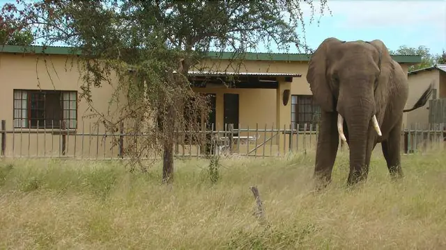 Muweti Bush Lodge
