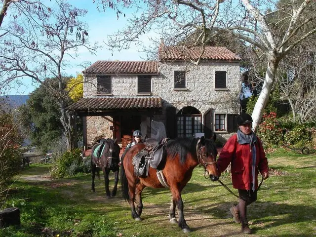 Domaine De Croccano
