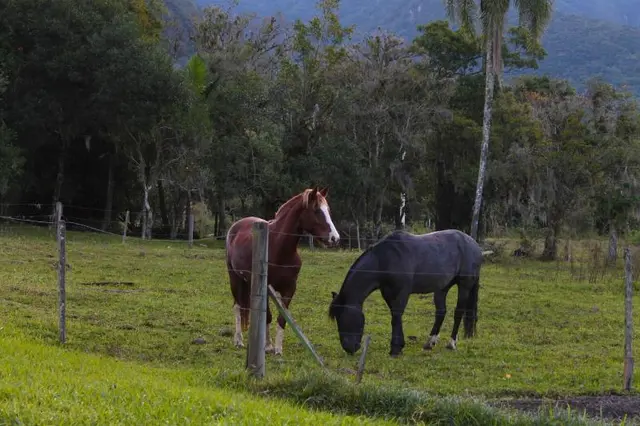 Pousada Malacara