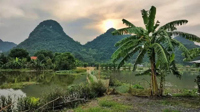 Tam Coc Garden