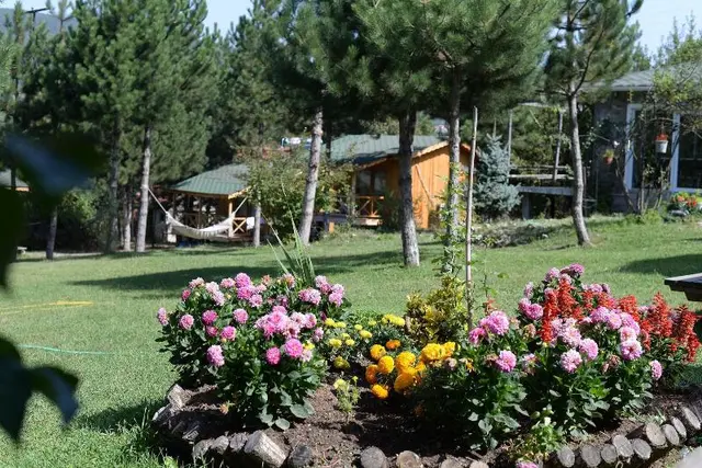 Nesilce Tatil Koyu