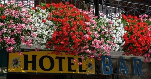 Hotel Edelweiss