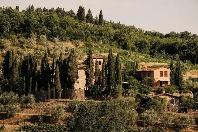 Terre Di Baccio