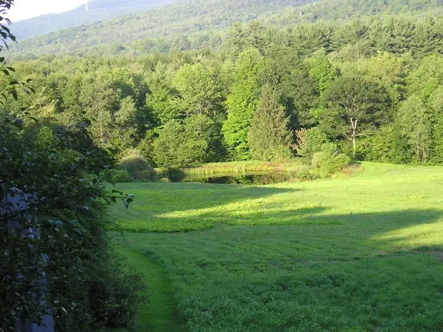 Berkshire Mountain House