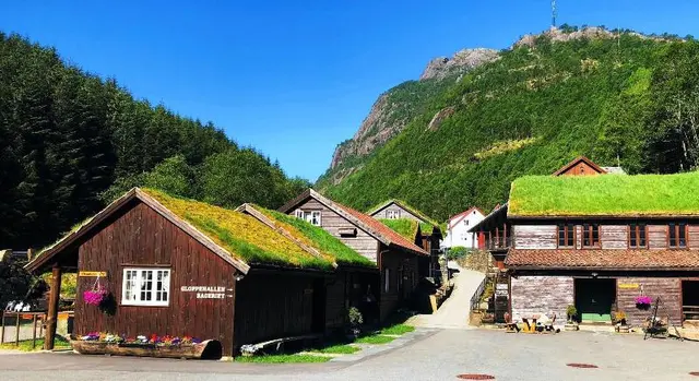 Byrkjedalstunet