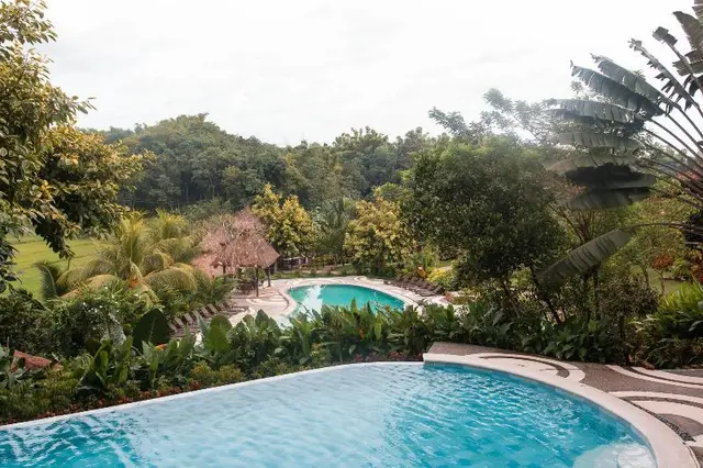 Damires Hills Tierra Verde