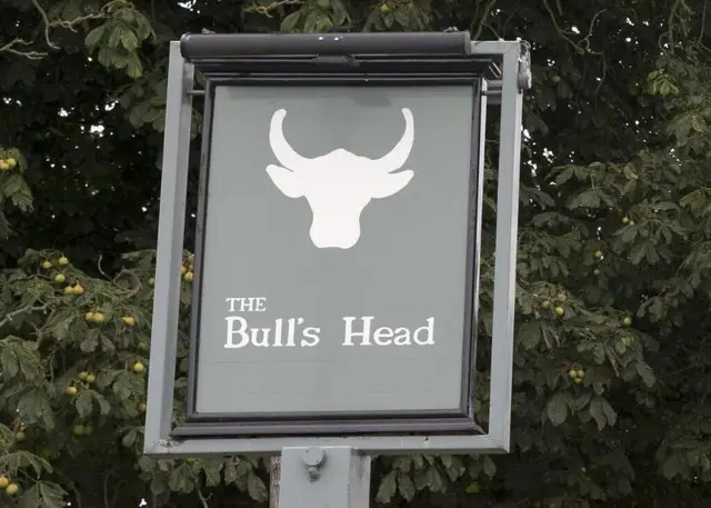 Bulls Head