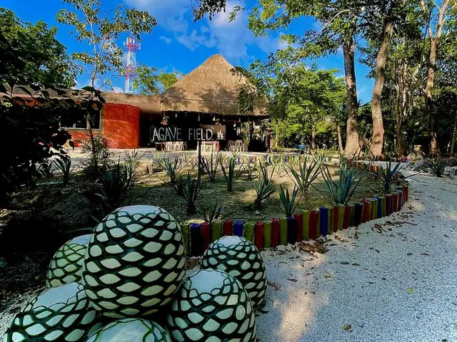 Hotel Tequila Cancun