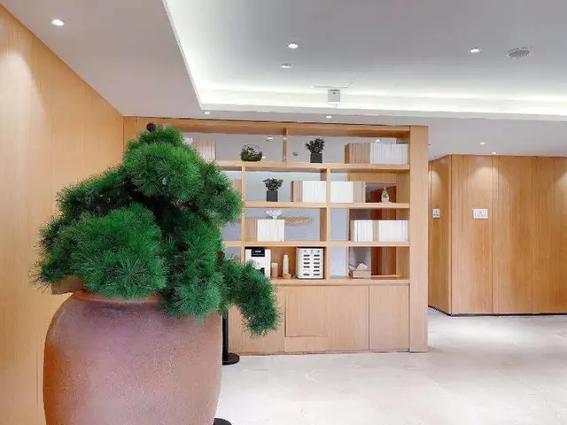 Ji Hotel Shanghai the Bund East Nanjing Road Pedes