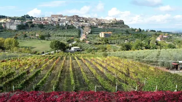 Agriturismo La Pietriccia