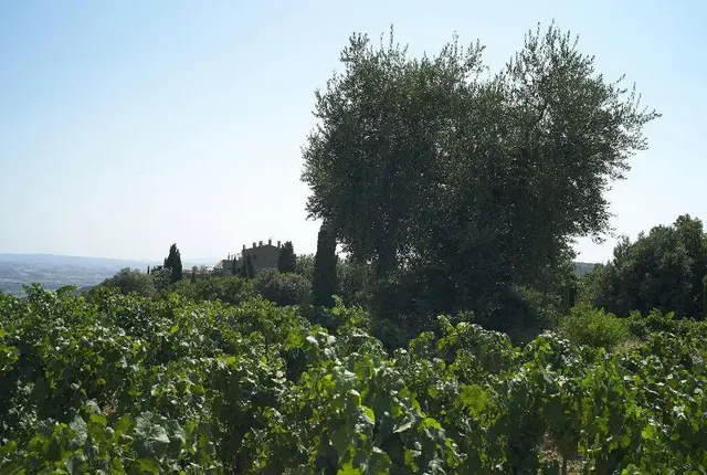Castello Di Vicarello