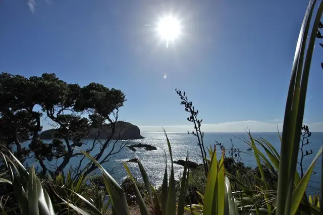 Pacific Rendezvous