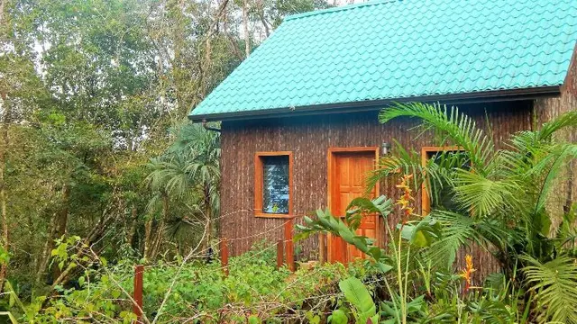 Mariposa Jungle Lodge