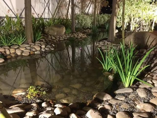 Green Palm