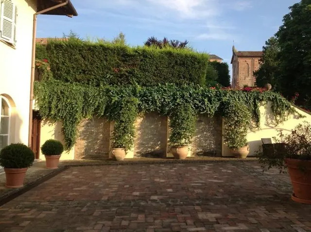 Agriturismo La Casa In Collina