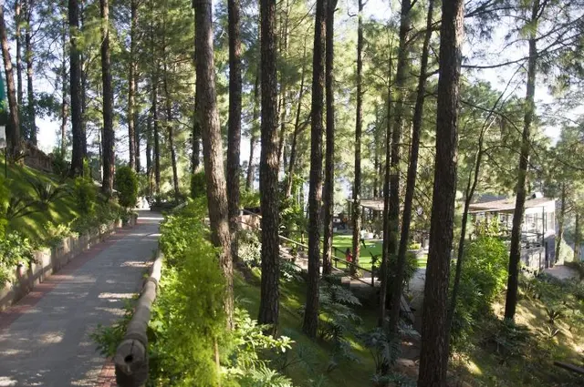 Kasauli Hills Resort