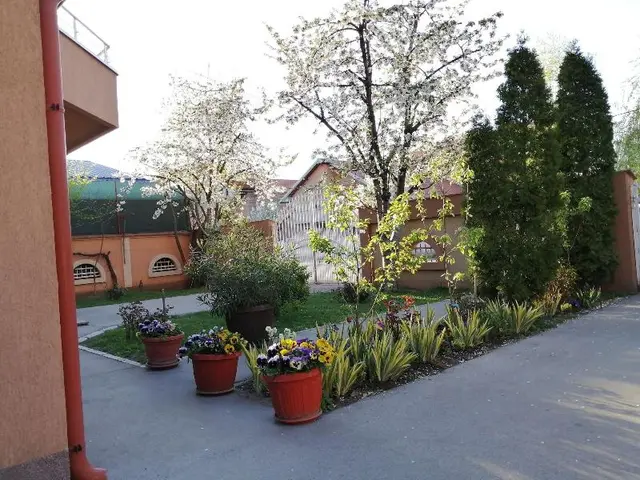 Apartments  Bella Mare Belgrade