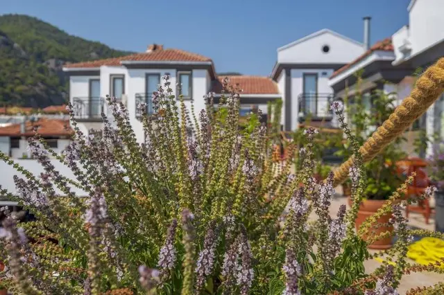 On Oda Oludeniz