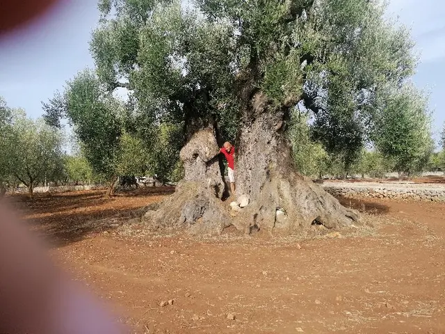 Agriturismo Salinola