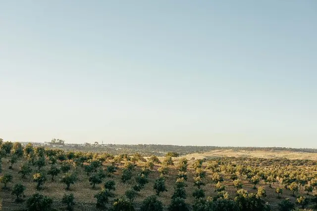 Sleep & Nature Hotel Rural