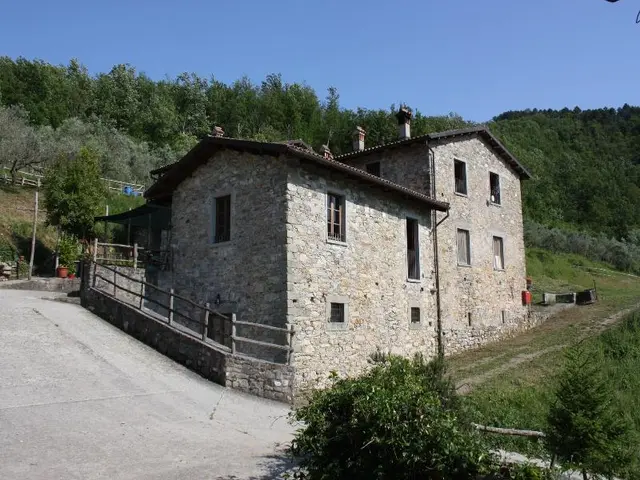 Le Chianine dei Tognoli