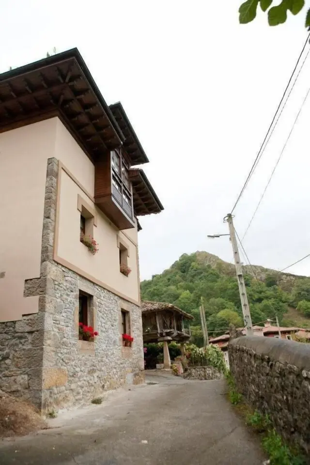 El Colladin