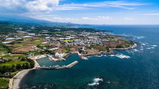 Seogwipo Neulbada Pet Pension