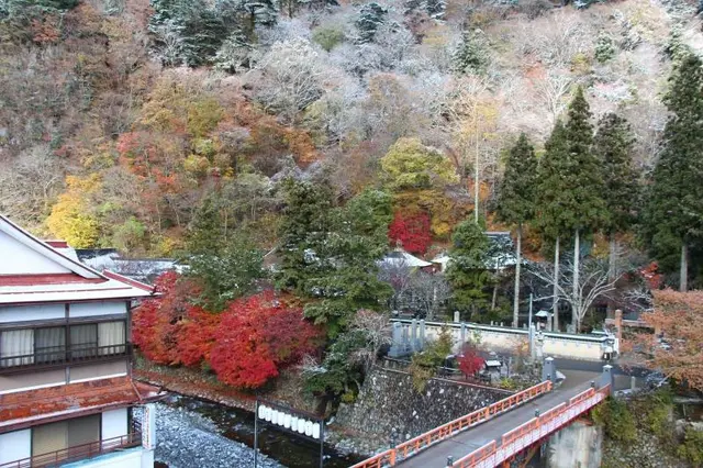 Atarashiya Ryokan - Dorogawa-onsen Hot Spring