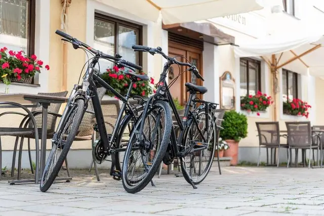 Hotel Zum Lowen
