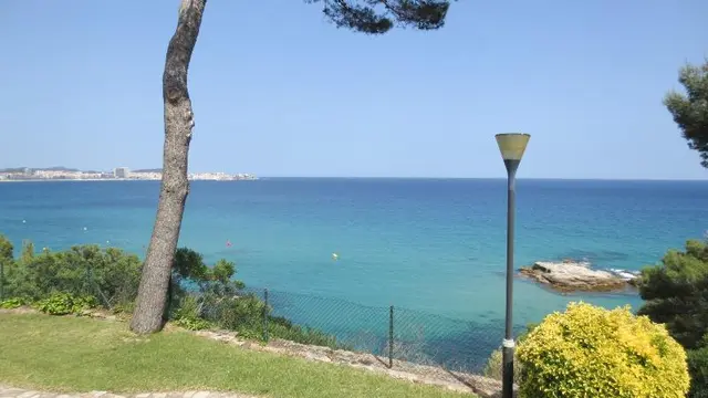 Eden Mar