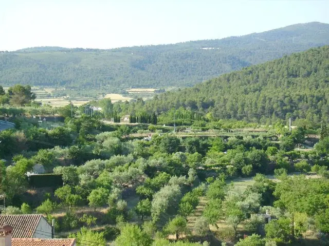Hotel Meson El Castillo
