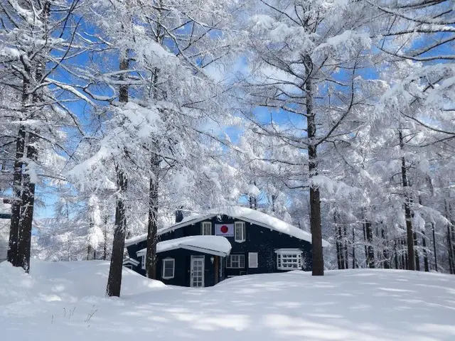Japan Snowsports