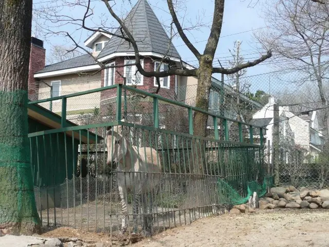 Scotch Court