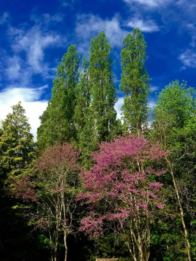 Domaine de l'Ocrerie